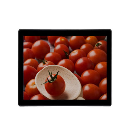 19 de“ Industriële de Inputkiosken van VGA DVI van de Touch screenmonitor maken LCD Monitor waterdicht