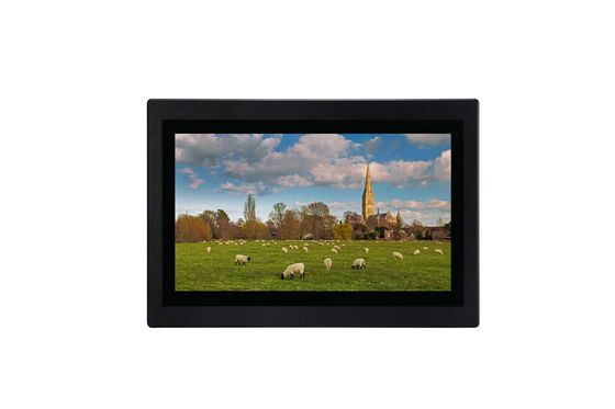 VGA/Industrieel LCD de Monitortouch screen 15,6 Duim ROHS van DVI