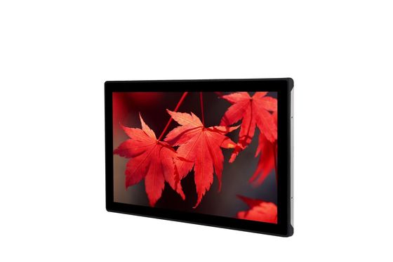 ODM LCD van het Kiosken Open Kader Touchscreen gelijkstroom 12V3A van de Aanrakingsmonitor