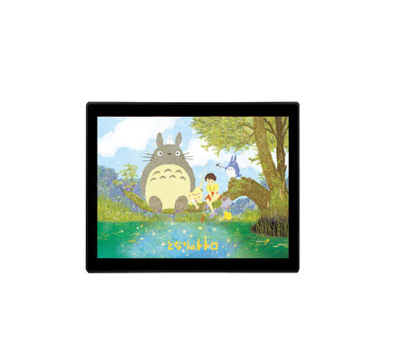 Gelijkstroom 12V3A 19 Duim Industriële LCD Monitor Waterdichte LCD Monitor ROHS